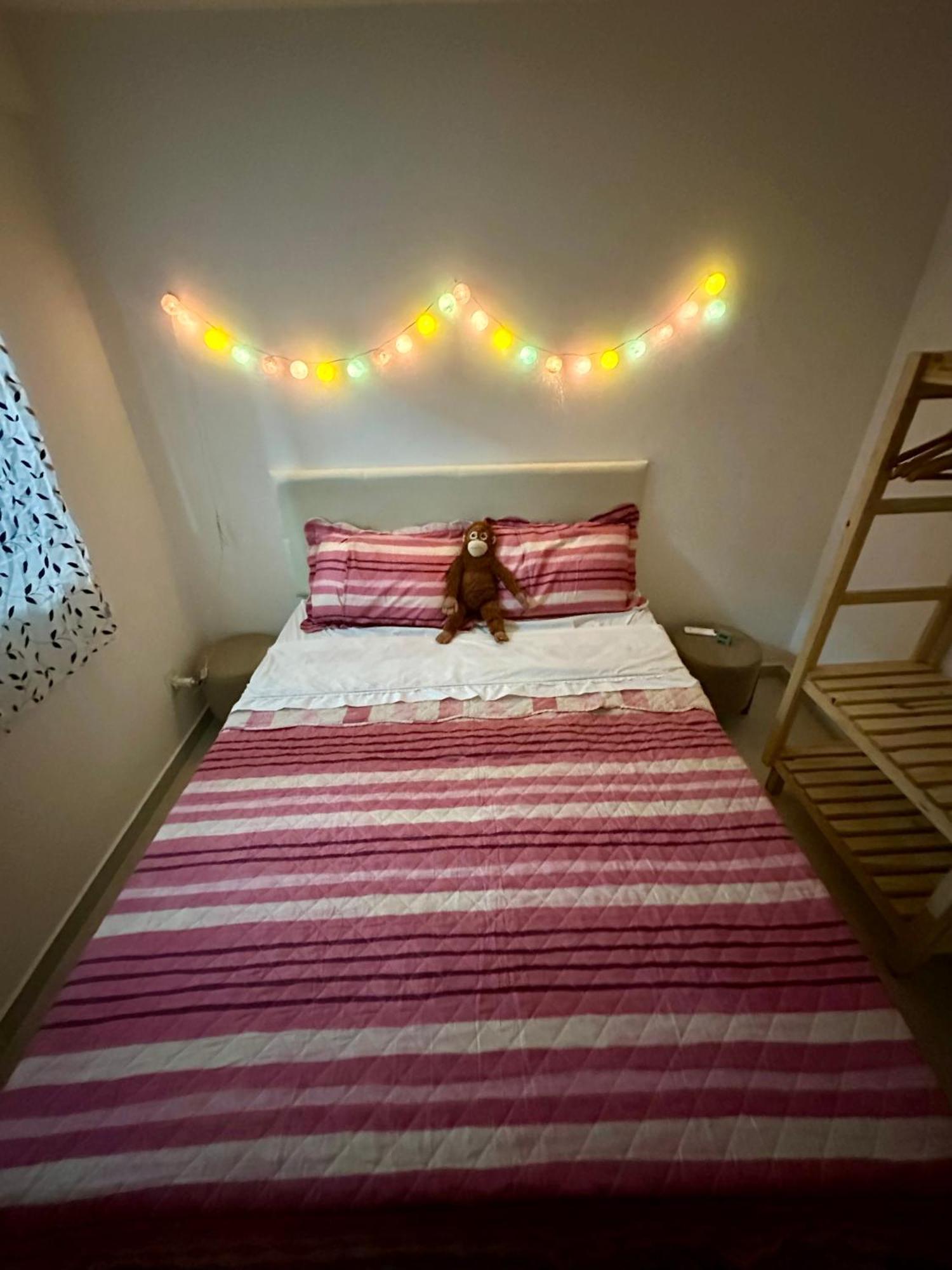 Flat Ana Mares Apartamento